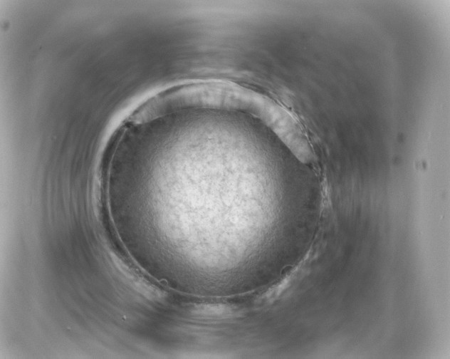 X0000087590342200705112309