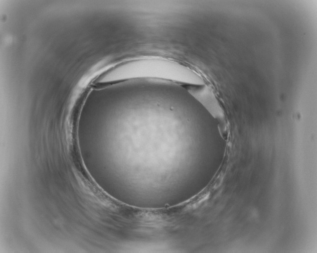 X0000087590343200705112309