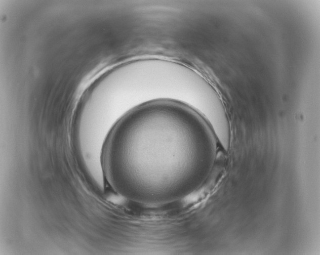 X0000087590344200705112309