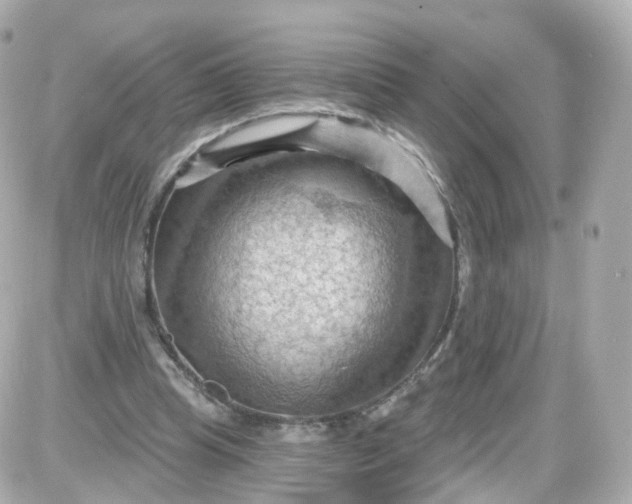 X0000087590345200705112309