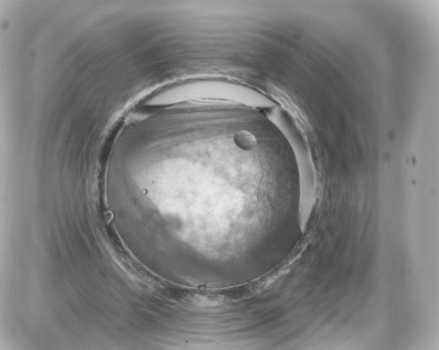 X0000087590346200705112309