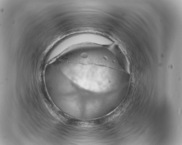 X0000087590347200705112309