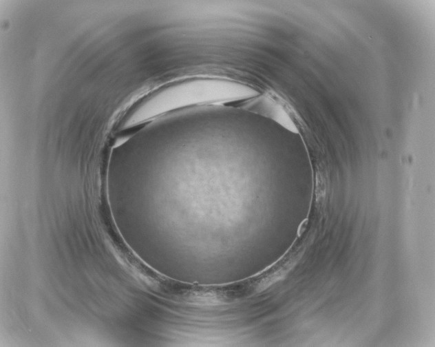 X0000087590349200705112309