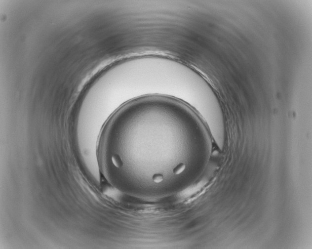 X0000087590350200705112309