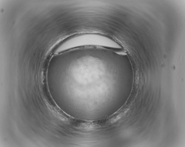 X0000087590351200705112309