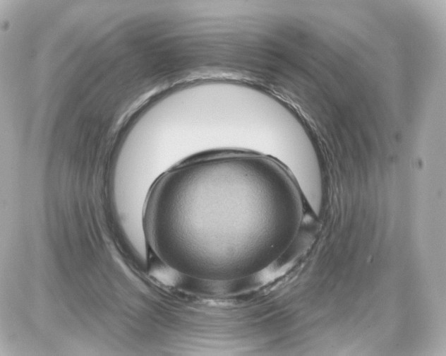 X0000087590352200705112309