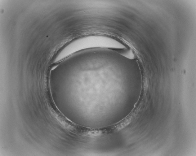 X0000087590353200705112309