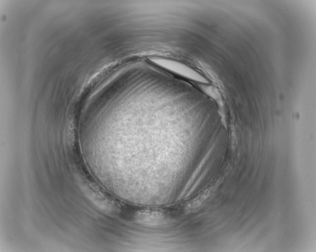 X0000087590354200705112309