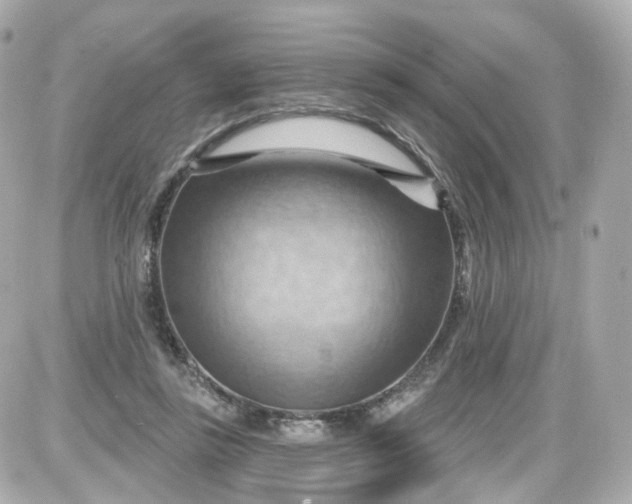 X0000087590355200705112309