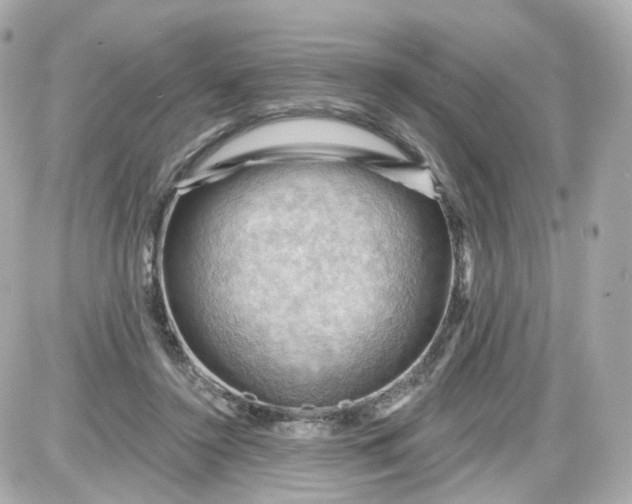 X0000087590356200705112309