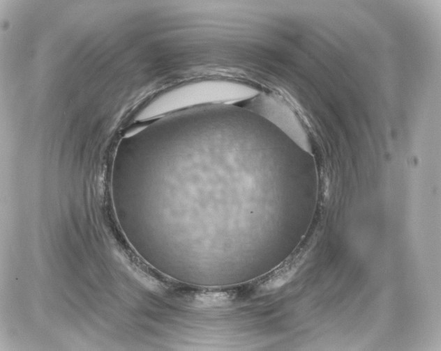 X0000087590357200705112309