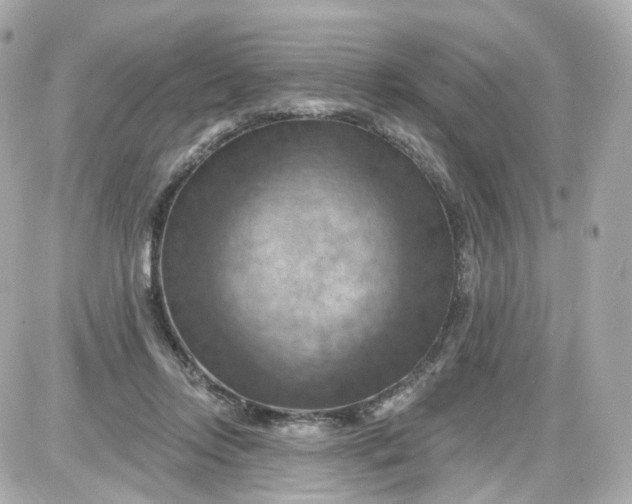 X0000087590358200705112309