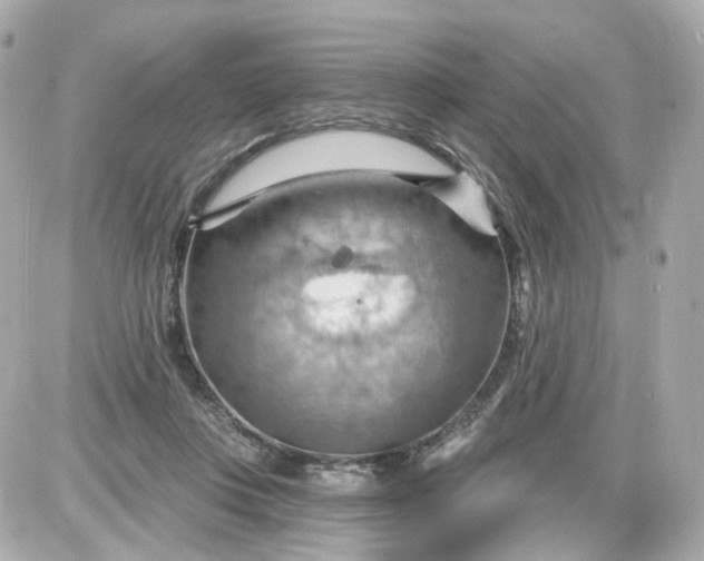 X0000087590359200705112309