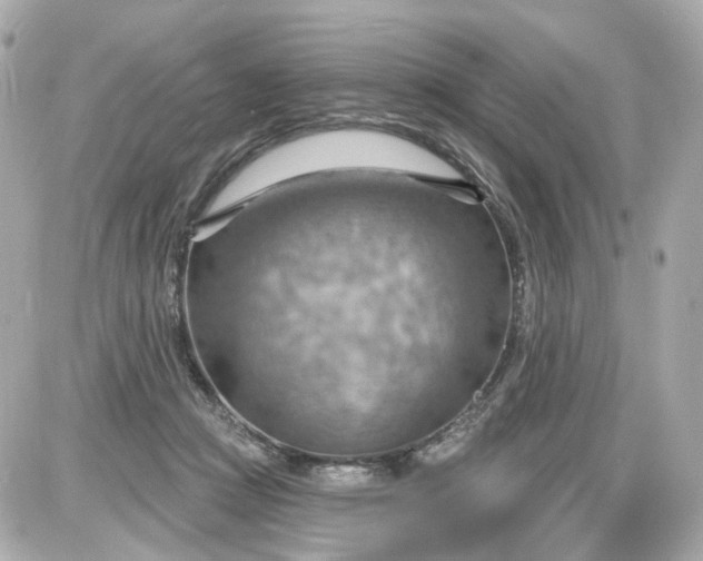 X0000087590361200705112309