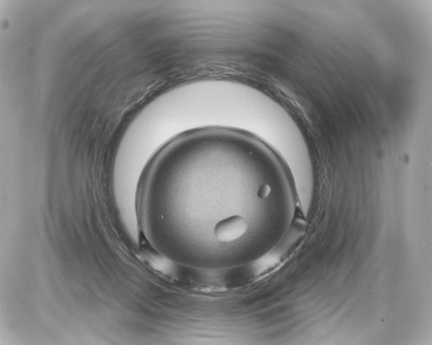 X0000087590362200705112309