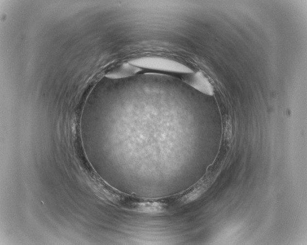 X0000087590363200705112309