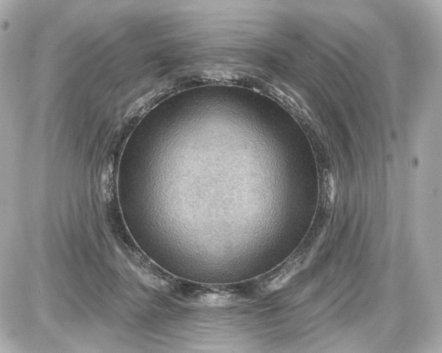 X0000087590364200705112309