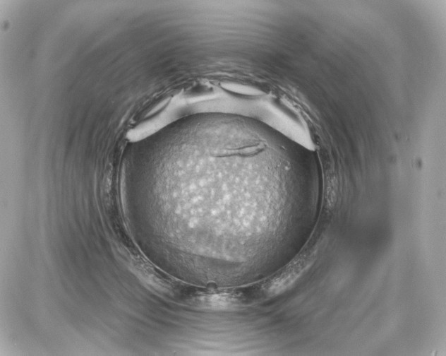 X0000087590365200705112309