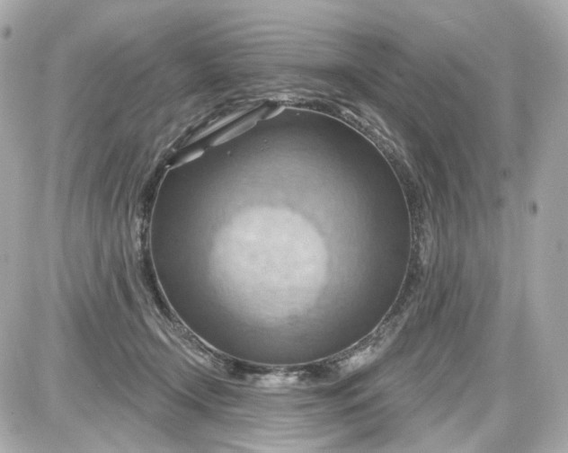 X0000087590366200705112309