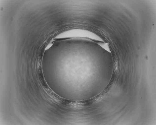 X0000087590367200705112309