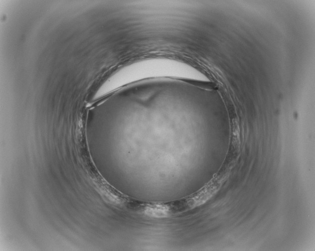 X0000087590369200705112309