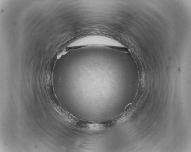 X0000087590371200705112309