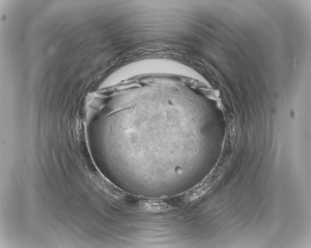 X0000087590372200705112309