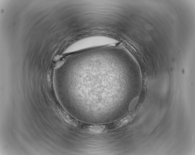 X0000087590373200705112309