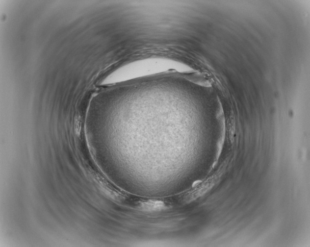 X0000087590374200705112309