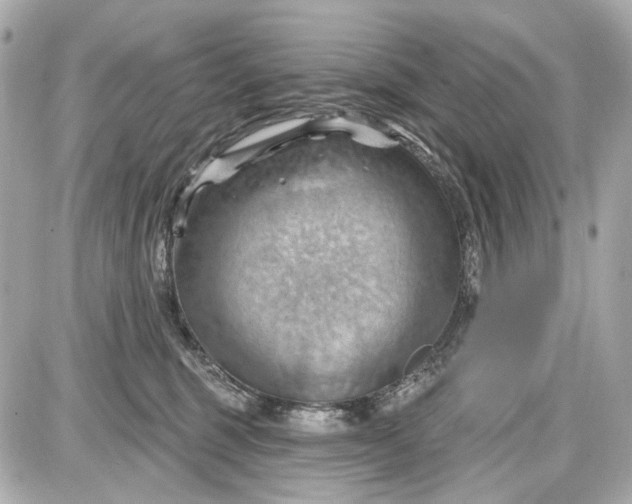 X0000087590375200705112309