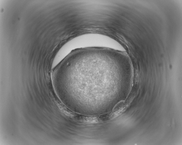 X0000087590377200705112309