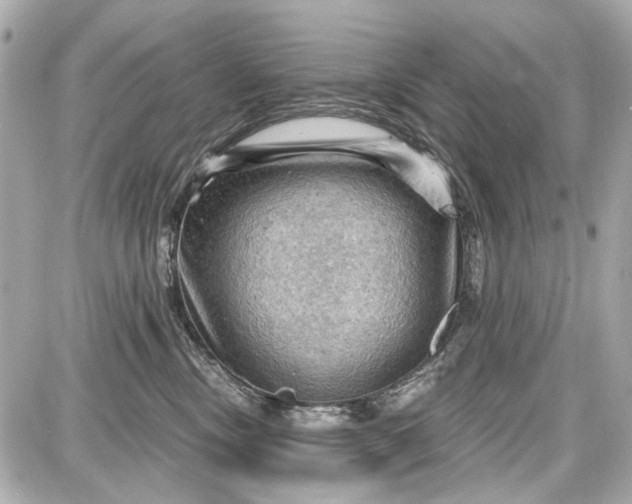 X0000087590378200705112309