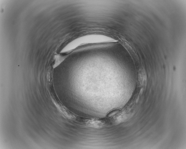 X0000087590379200705112309