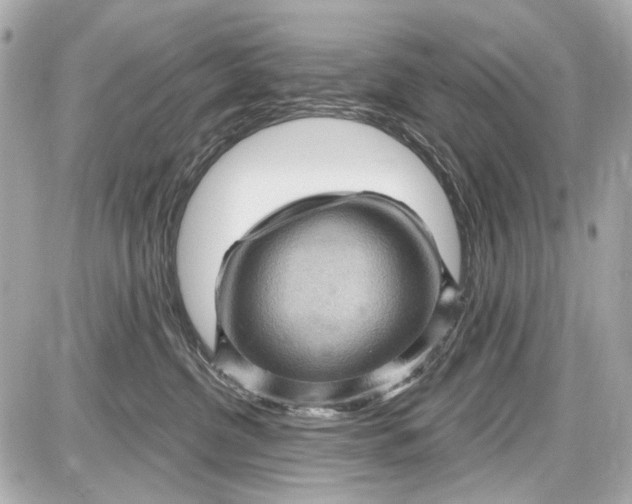 X0000087590380200705112309