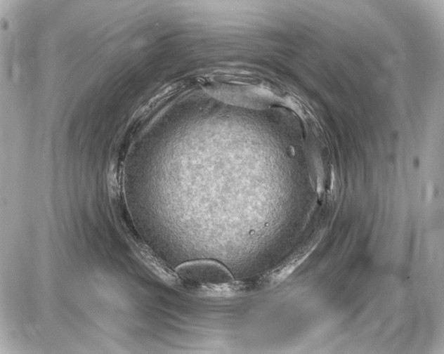 X0000087590381200705112309