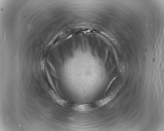 X0000087590382200705112309