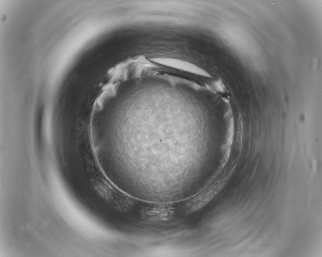 X0000087590383200705112309