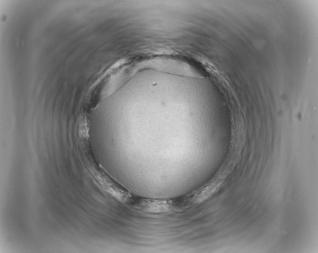 X0000087590384200705112309