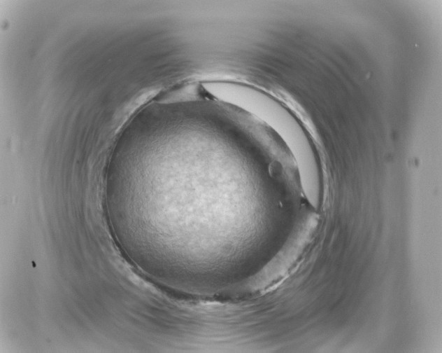 X0000087590385200705112308