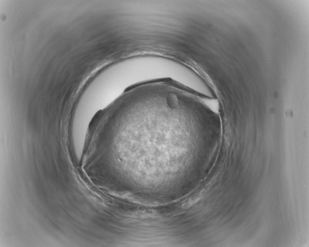 X0000087590386200705112308