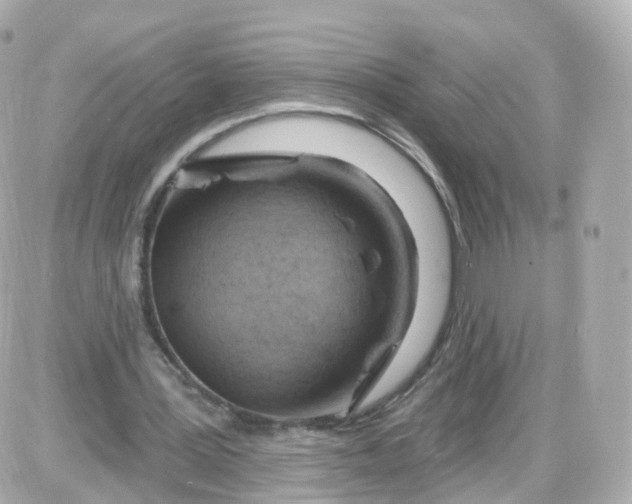 X0000087590387200705112308