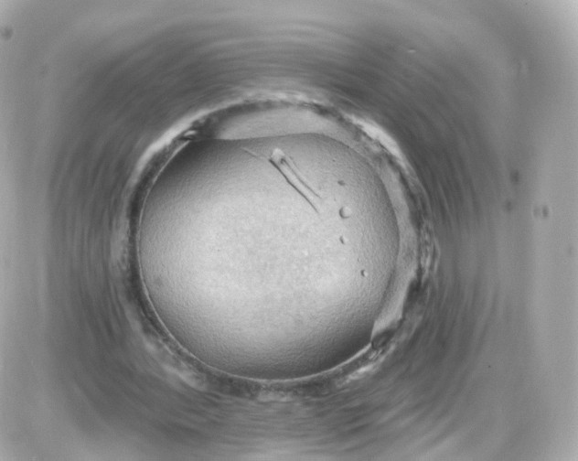 X0000087590388200705112308