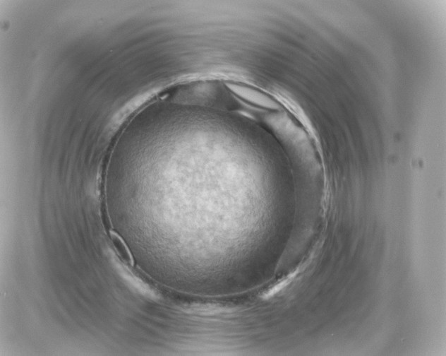 X0000087590389200705112308