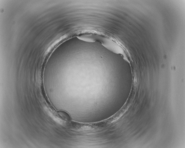 X0000087590390200705112308