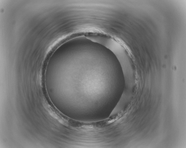 X0000087590391200705112308