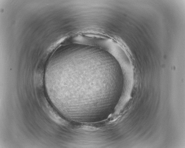 X0000087590393200705112308