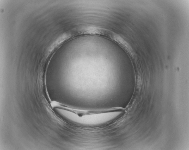 X0000087590394200705112308