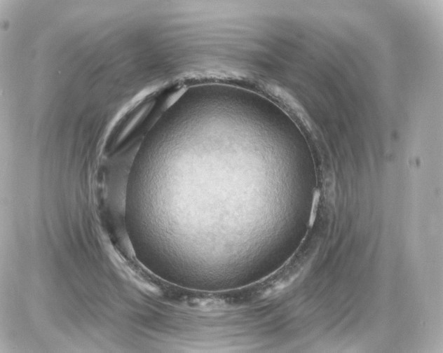 X0000087590395200705112308