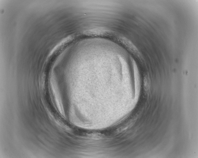 X0000087590396200705112308