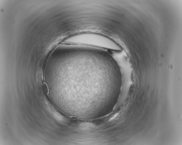 X0000087590397200705112308